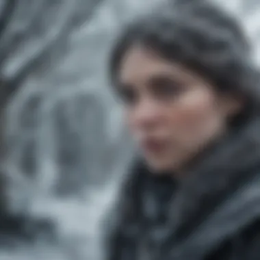 Winter's Embrace - Characters in the Frost Winter's Embrace - Characters in the Frost